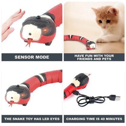 Electronic Snake Toy for Kitten