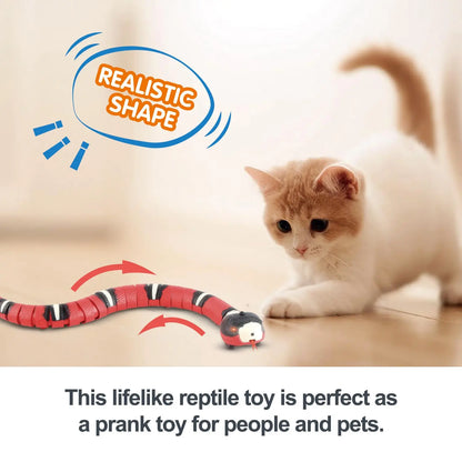Electronic Snake Toy for Kitten